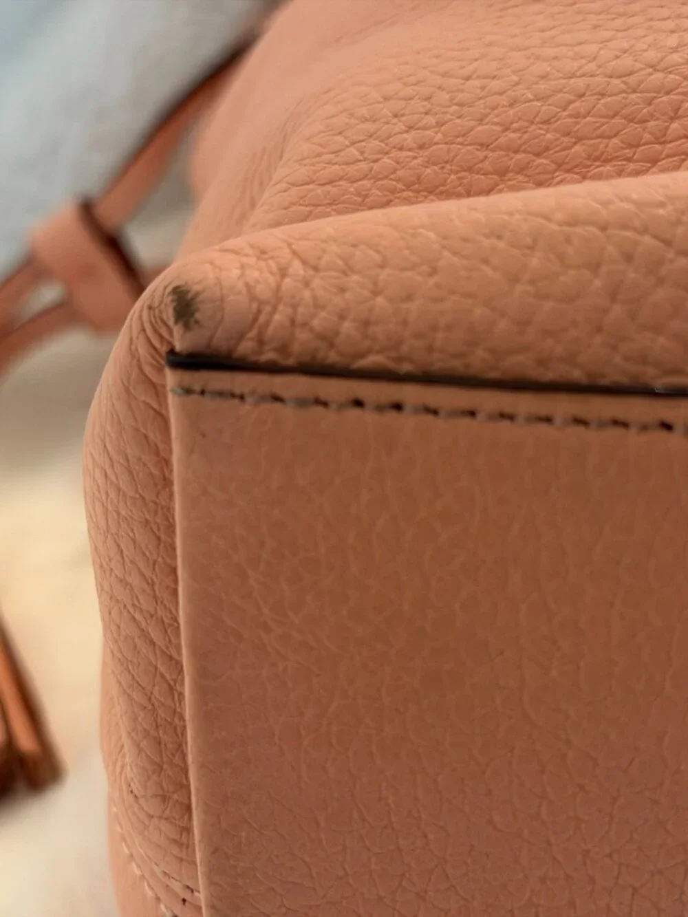 Coach bag with matching wallet